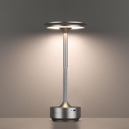Настольная лампа Odeon Light 5035/6TL