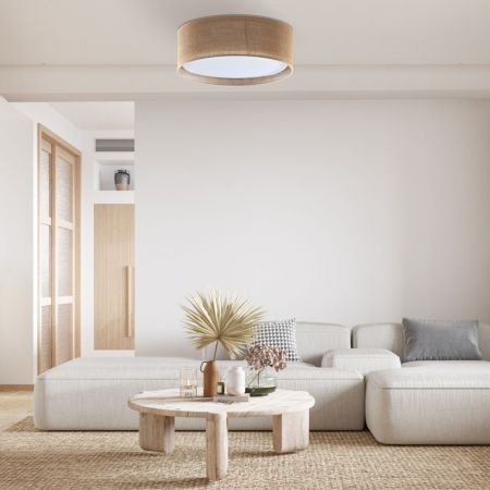 Накладная люстра TK Lighting 6584