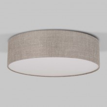 Накладной светильник TK Lighting 5637