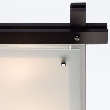 Накладной светильник ARTE Lamp A6462PL-3CK