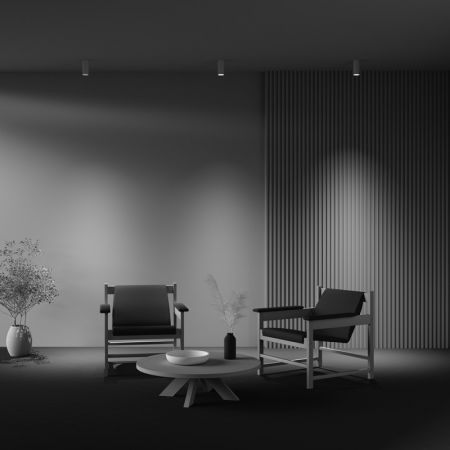 Maytoni C010CL-01W-N
