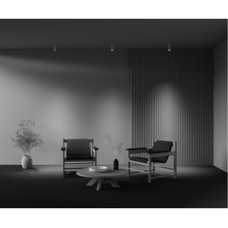 Maytoni C010CL-01W-N