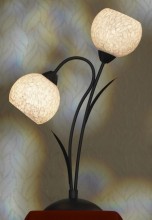 Настольная лампа Lussole Bagheria LSF-6294-02