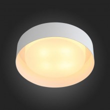 Накладной светильник ST-Luce SL392.502.04