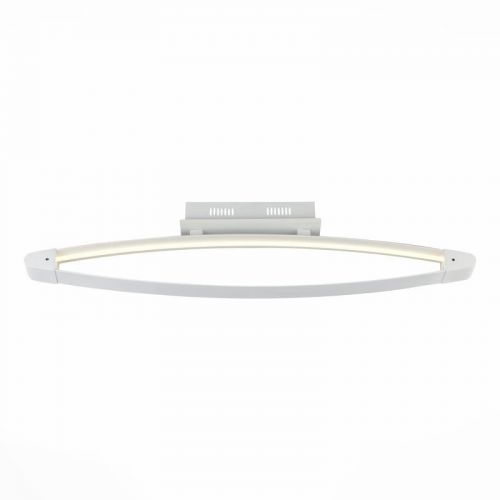 Накладной светильник ST-Luce SL920.102.01