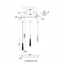 Подвесной светильник Evoluce SLE200113-03