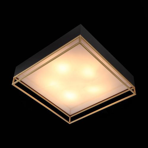 Накладная люстра ST-Luce SL1127.422.05