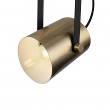 Подвесной светильник FR4004PL-01BBS