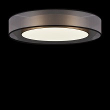 Потолочный светильник FR6005CL-L48G