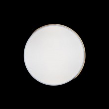 Накладной светильник LOFT IT 10004/36 White