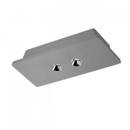 Потолочный светодиодный светильник Loft IT Architect OL1072-GH/2