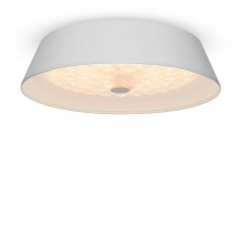 Потолочный светильник FR10013CL-L24W