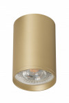 Накладной светильник Denkirs DK2050-SG