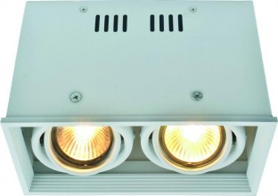 Потолочный светильник Arte Lamp Cardani A5942PL-2WH