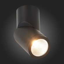 Влагозащищенный светильник ST-Luce ST650.442.10