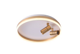 Светильник ZORTES RAIZY ZRS.1888.02 Мощность-40Вт Тип лампы: Встроенный  Встроенный LED