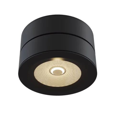 Накладной светильник Maytoni C023CL-L20B