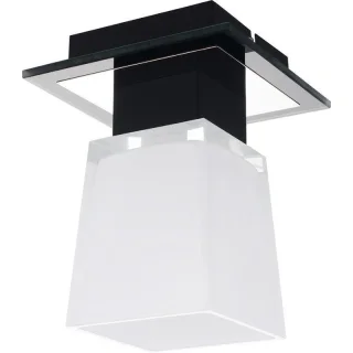 Потолочный светильник Lussole Lente LSC-2507-01
