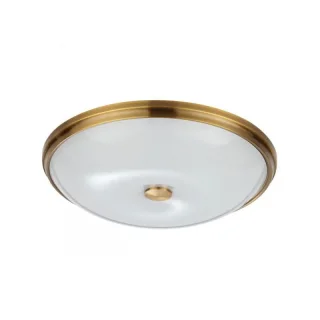 Накладной светильник Odeon Light 4956/5