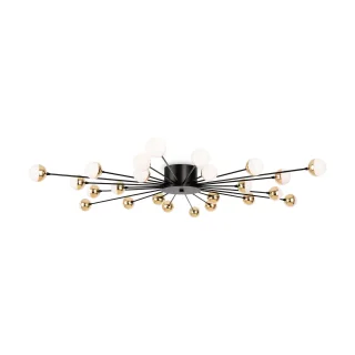 Потолочныйсветильник FR5242CL-24B