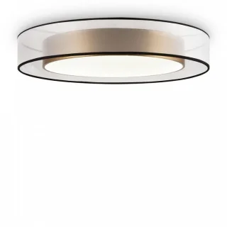 Потолочный светильник FR6005CL-L48G