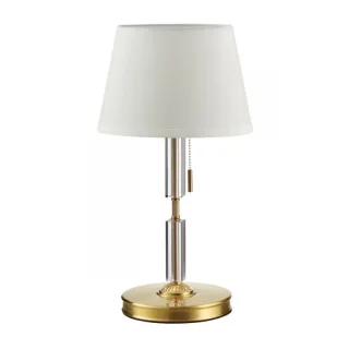 Настольная лампа Odeon Light 4894/1T