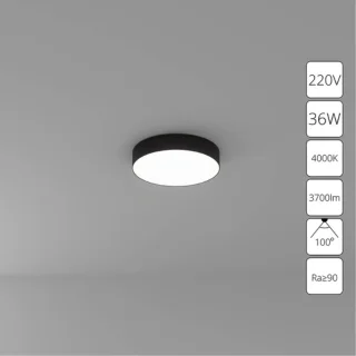 Потолочный светильник Arte Lamp FADO A6635PL-1BK
