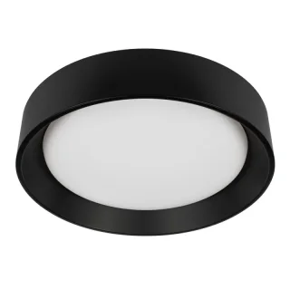 Накладной светильник LOFT IT 10202 BB