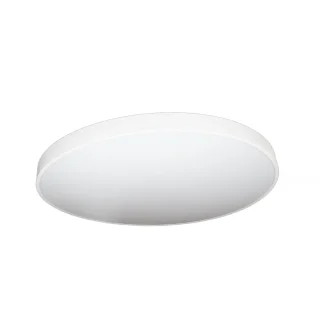 Потолочный светильник 626777,150 D780