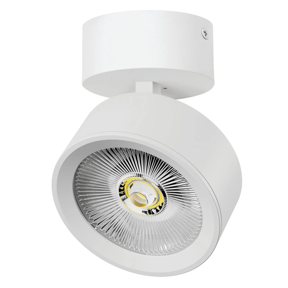 Светильник накладной LED 30W с накладной чашей Alta Pro Lightstar A5646SO