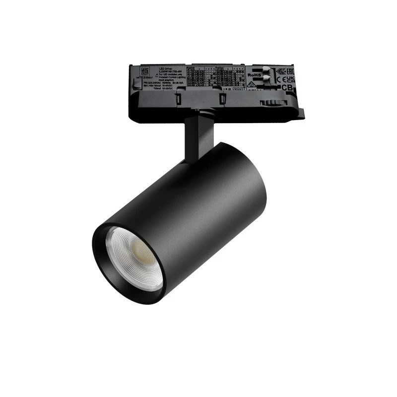 Светильник на шине Lightstar A5137QT