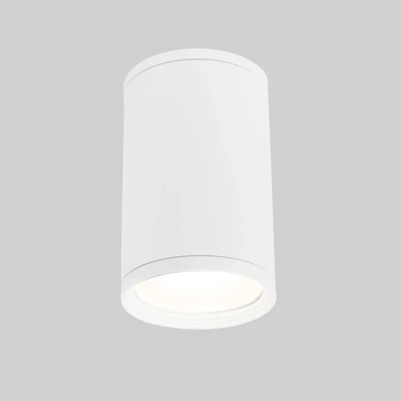 Накладной уличный светильник Elektrostandard Light 2101 (35128/H) белый