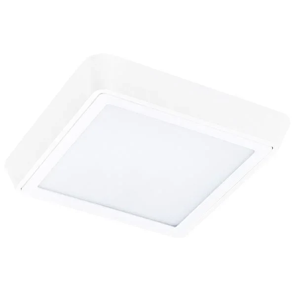 Влагозащищенный светильник Lightstar 216802