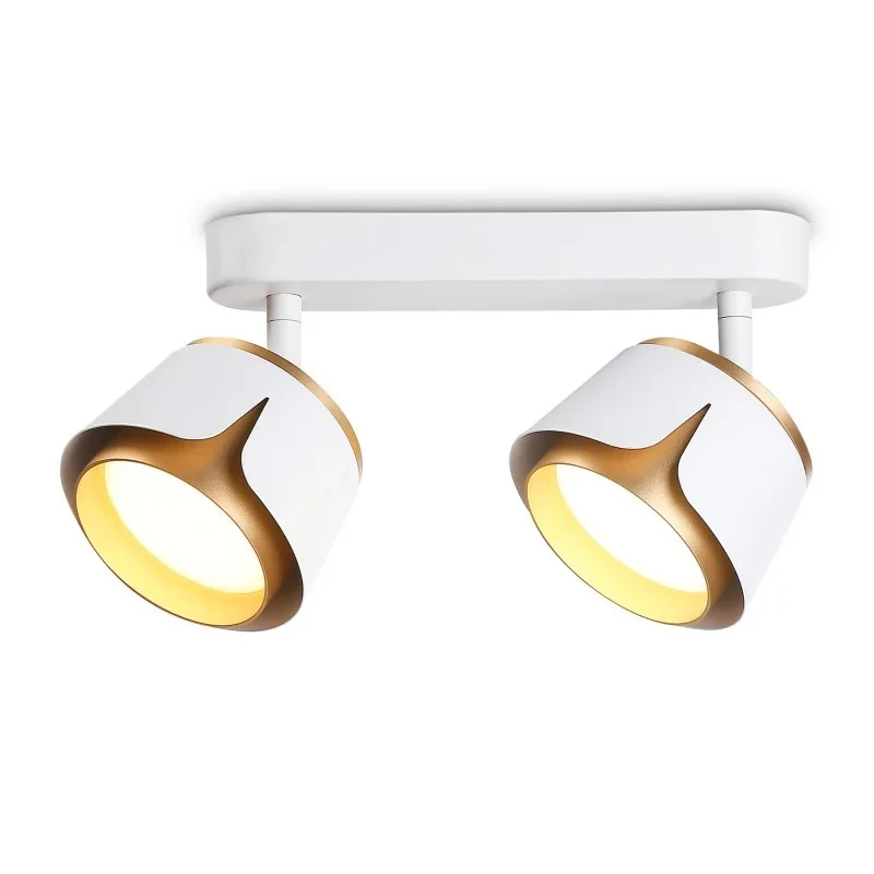Спот Ambrella Light TN71229