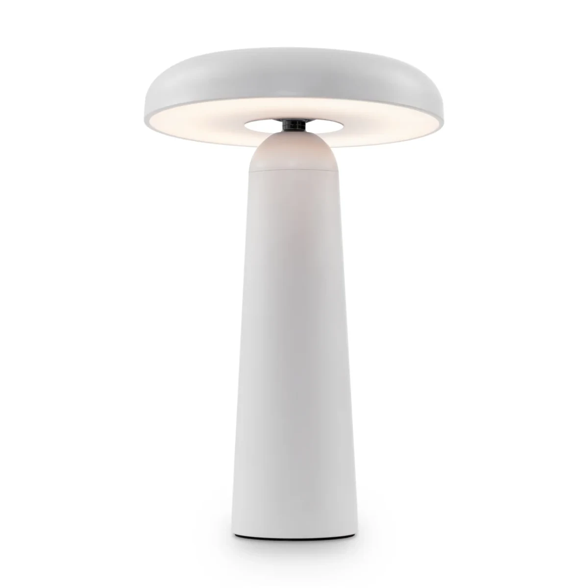 Аккумуляторный светильник FR6109TL-L4W