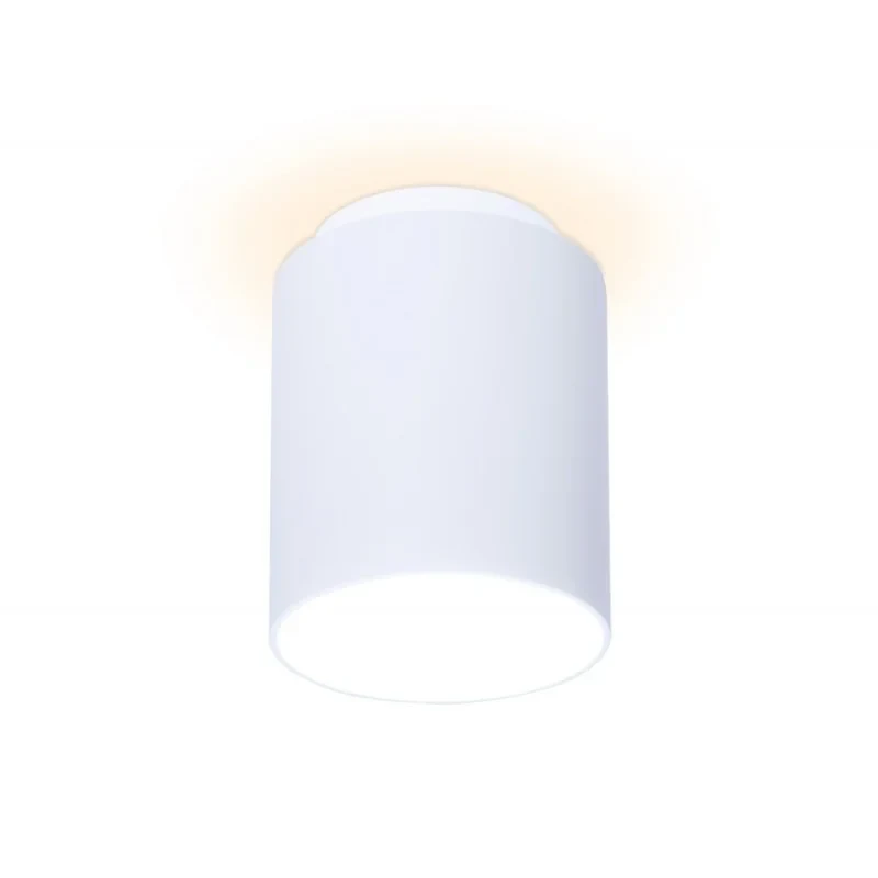 Накладной светильник Ambrella Light TN260