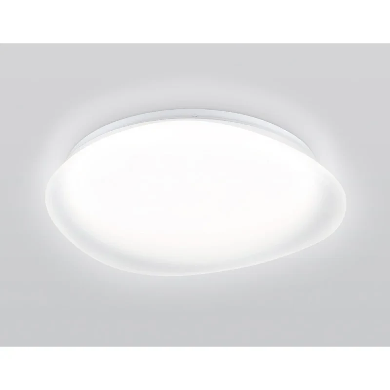 Накладной светильник Ambrella Light FZ1610