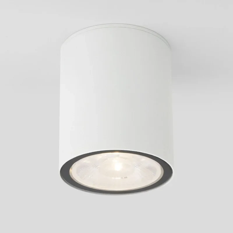 Накладной уличный светильник Elektrostandard Light LED 2103 (35131/H) белый
