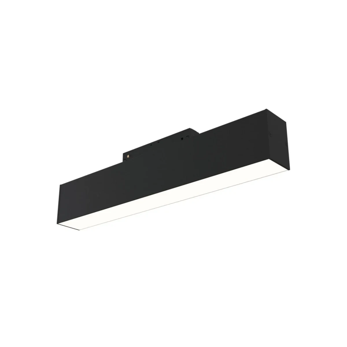 Maytoni TR012-2-12W3K-B