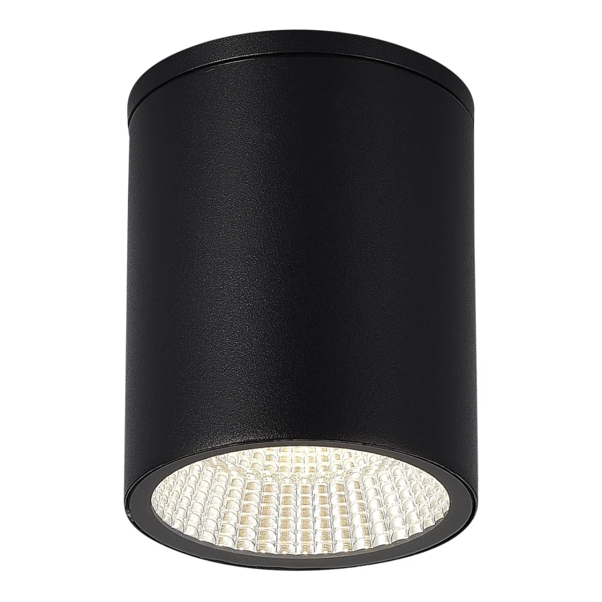 SL9514.412.01 Светильник уличный потолочный ST-Luce черный/белый LED 1*12W 3000K/4000K/6500K