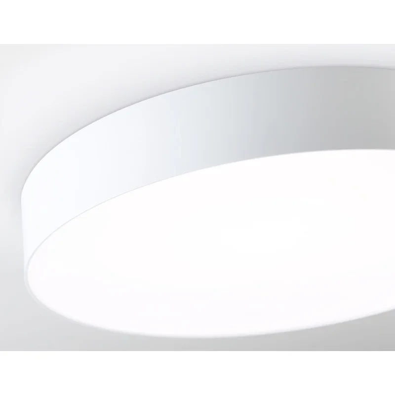 Накладной светильник Ambrella Light FZ1355