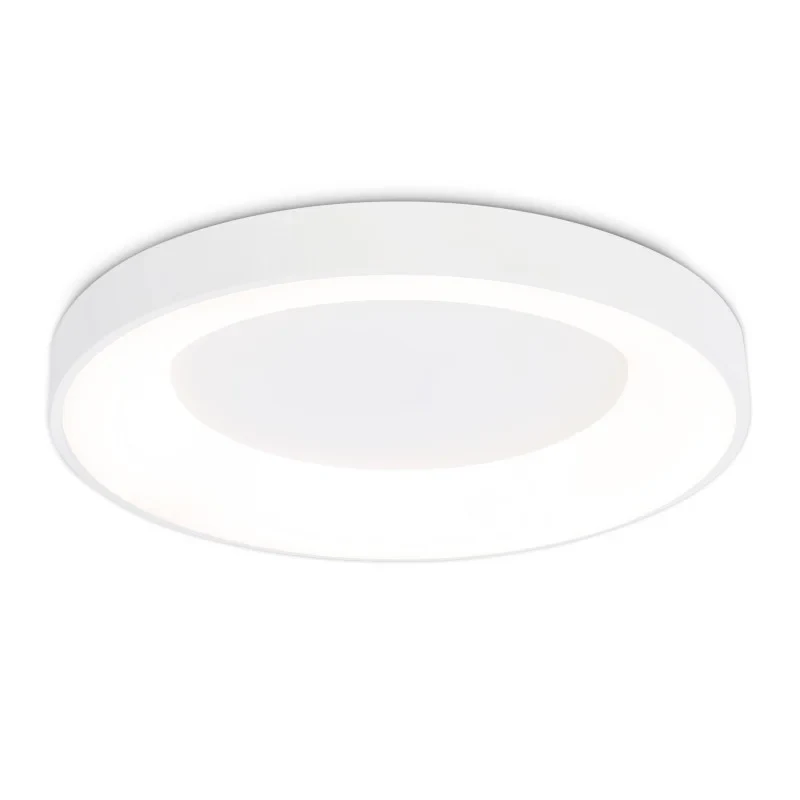 Накладной светильник Ambrella Light FZ1401