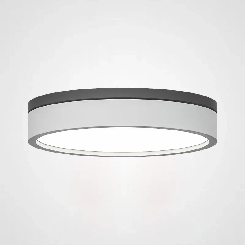 Накладной светильник ImperiumLoft 101707-26