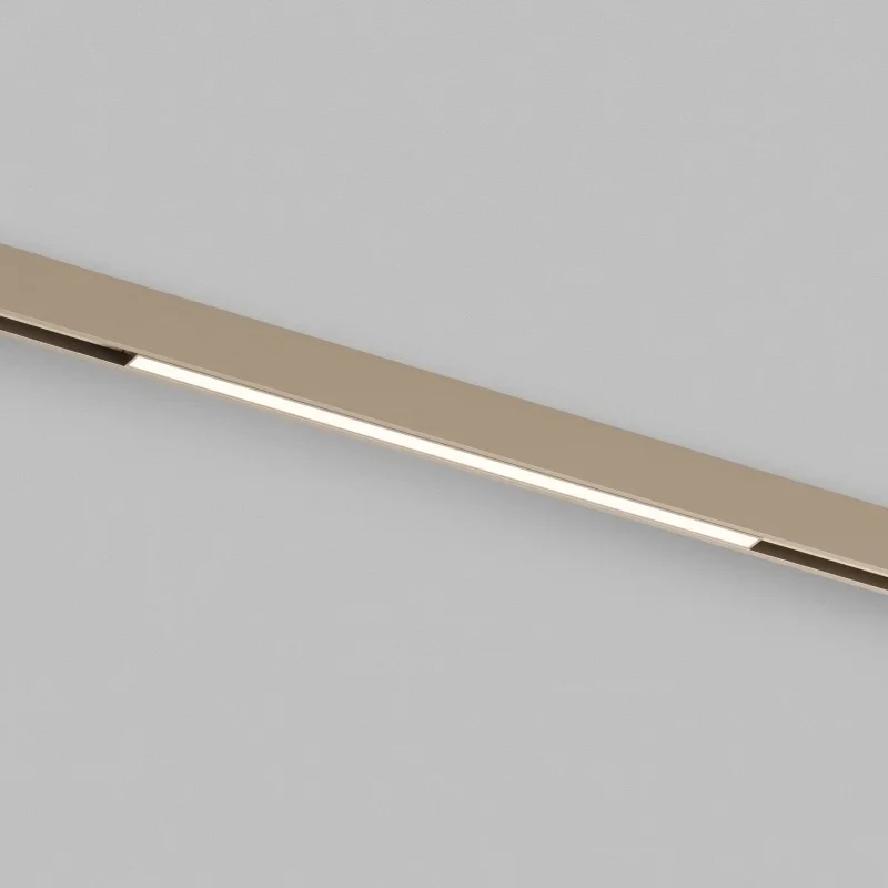 Светильник на шине Denkirs DK4951-CP