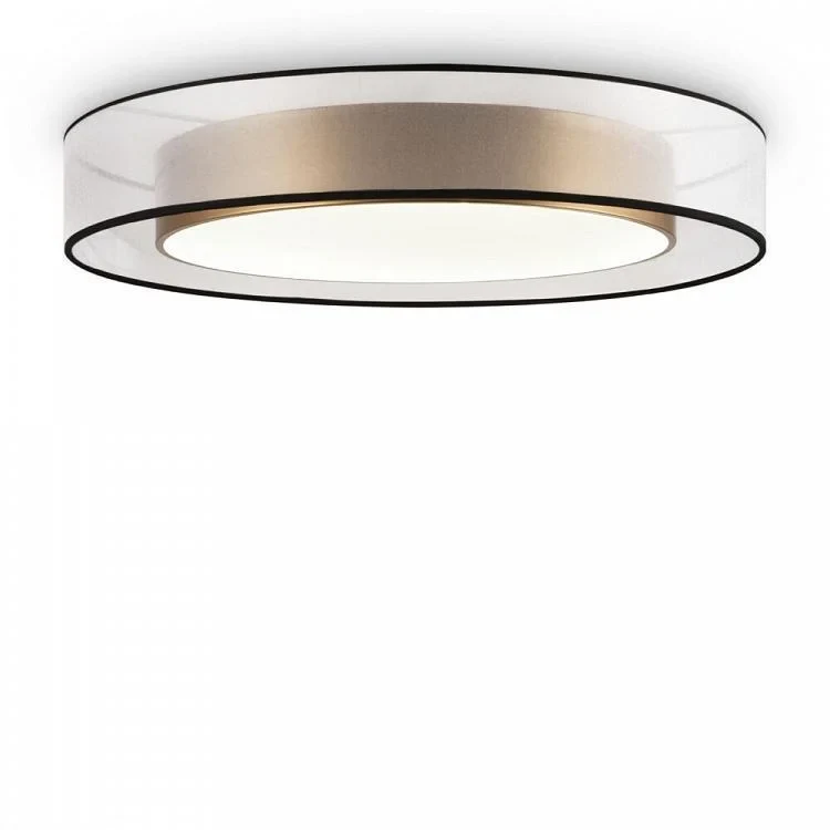 Потолочный светильник FR6005CL-L48G