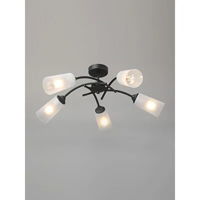 Накладная люстра Vitaluce V2850-1/5PL