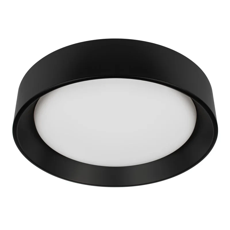 Накладной светильник LOFT IT 10202 BB