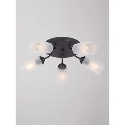 Накладная люстра Vitaluce V3762-1/5PL