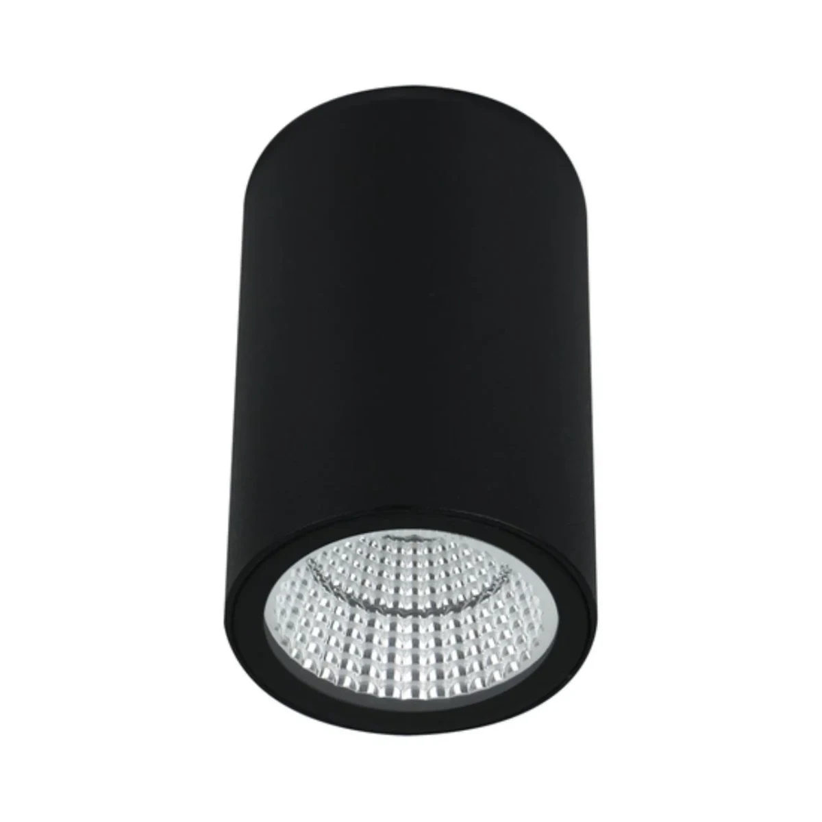 Уличный потолочный светильник Arte Lamp TORCULAR A1807PF-1BK