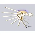 Накладной светильник Ambrella Light FL6244